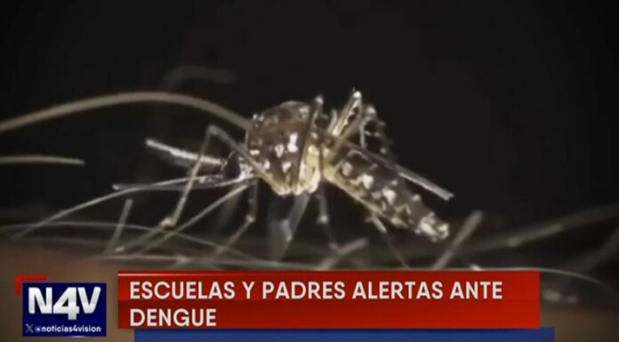Diferentes centros educativos han implementado medidas para combatir criaderos de zancudo y evitar contagios de dengue.