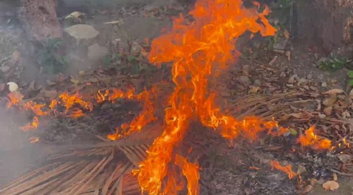 En la época seca, los incendios en maleza se vuelven más frecuentes.