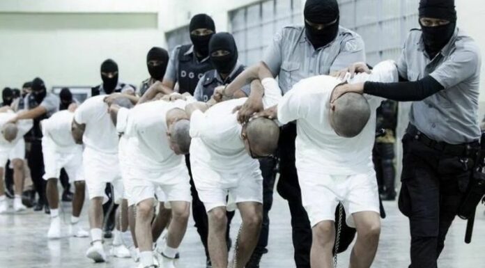 El salvadoreño tiene protección en EEUU por amenazas de pandillas, pero fue capturado por autoridades migratorias y deportado por error a El Salvador.