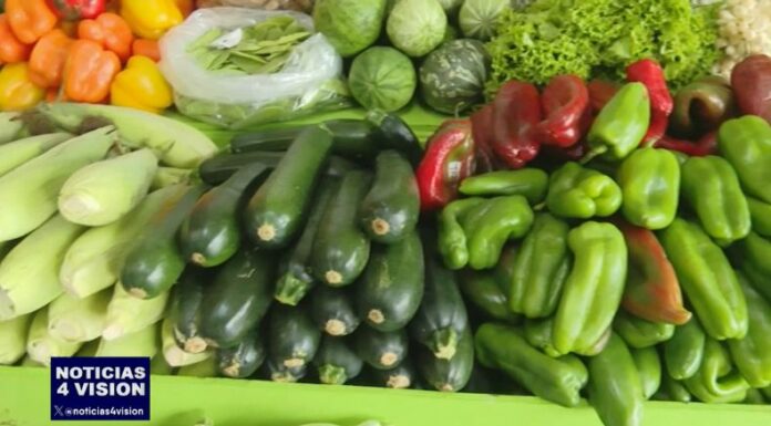 Seguir una alimentación saludable permite mantener un estilo de vida sano y fortalecer las defensas para evitar enfermedades.