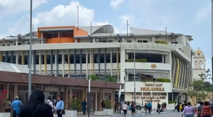 El Ejecutivo propone que la Dirección Nacional de Mercados administre y maneje financieramente los mercados.