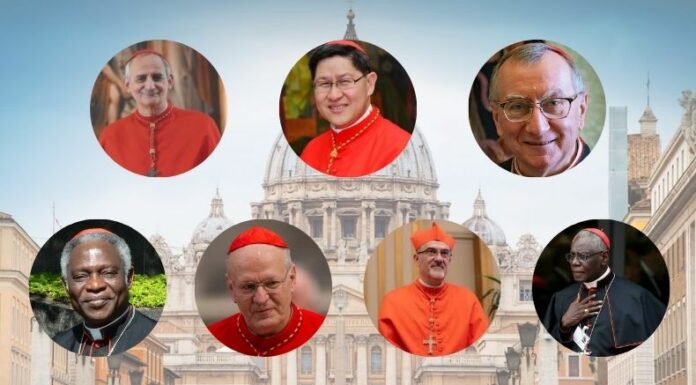 Siete cardenales sobresalen como principales candidatos a ser elegidos papa en el cónclave que inicia el 7 de mayo.