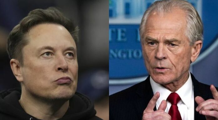 Elon Musk y Peter Navarro