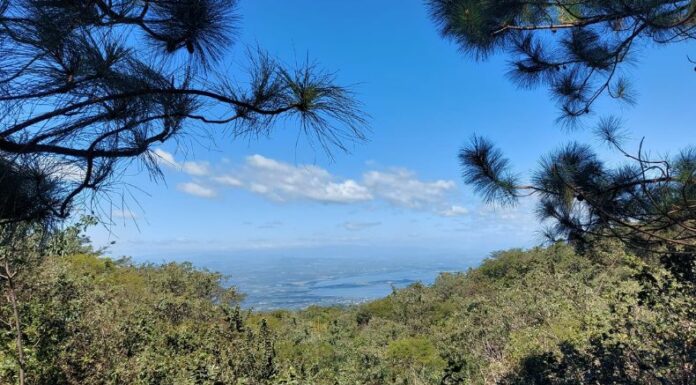 Este miércoles se percibirán vientos nortes con ráfagas de 50 km/h o más en algunos puntos del país.
