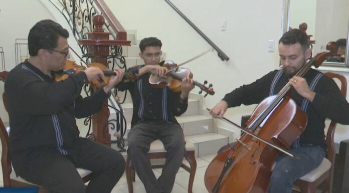 Este grupo apuesta por mantener viva la música clásica a través de jóvenes intérpretes que no descartan dar el salto a escenarios internacionales.