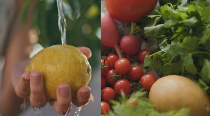Una observación desde el lente microscópico permitió detectar qué bacterias se pueden encontrar en las frutas y verduras antes de lavarlas correctamente.