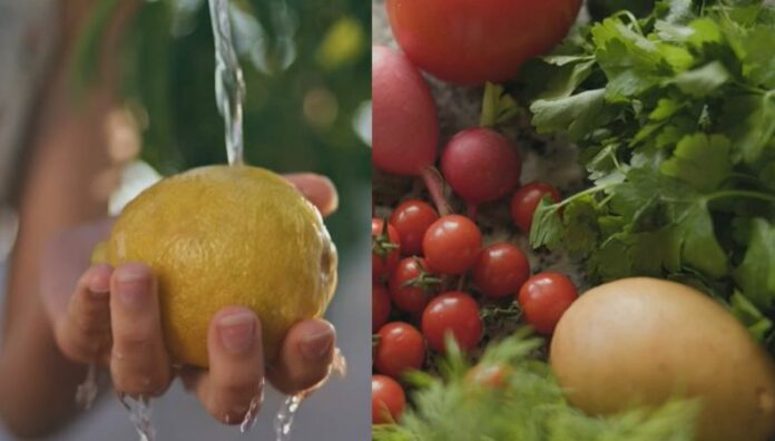 Una observación desde el lente microscópico permitió detectar qué bacterias se pueden encontrar en las frutas y verduras antes de lavarlas correctamente.