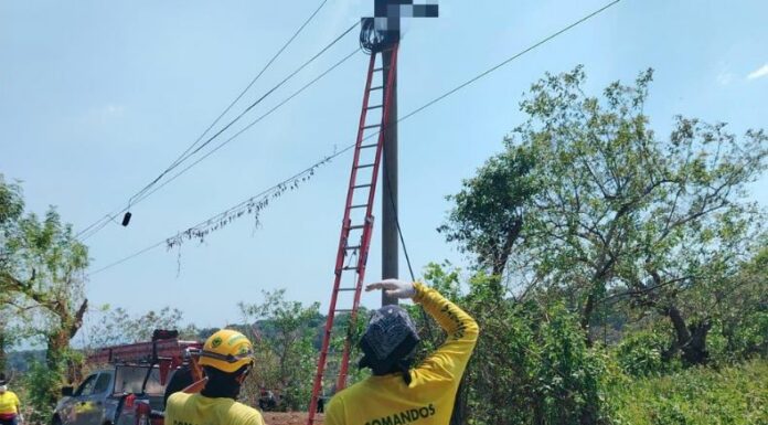 Un hombre falleció tras recibir una descarga eléctrica en la carretera que conduce de Sonsonate a Juayúa, distrito de Nahuizalco.