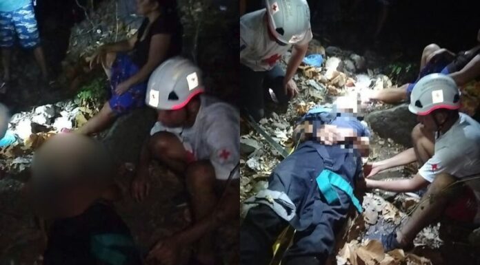 Entre los afectados por las picaduras de abejas se encontraba un adulto mayor de 65 años, quien presentaba un estado de salud delicado.