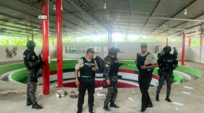 Sujetos disfrazados de militares irrumpieron en un recinto donde se realizaban peleas de gallos y dispararon contra los asistentes.