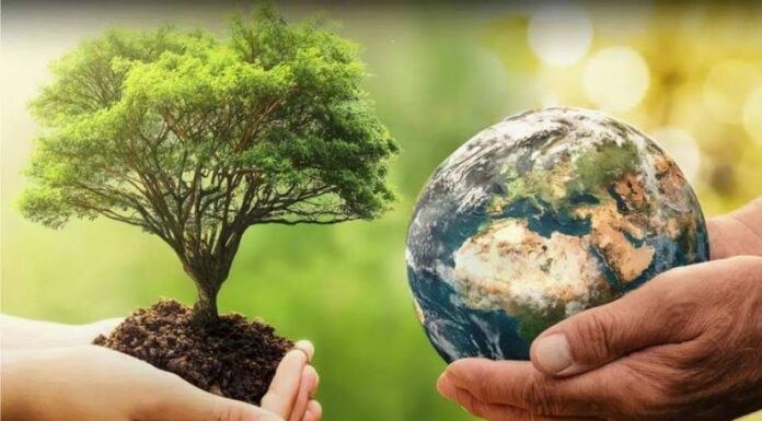 Cada 22 de abril, el planeta alza la voz a través del Día Internacional de la Madre Tierra, una fecha que, más que celebrarse, nos convoca a asumir responsabilidades.