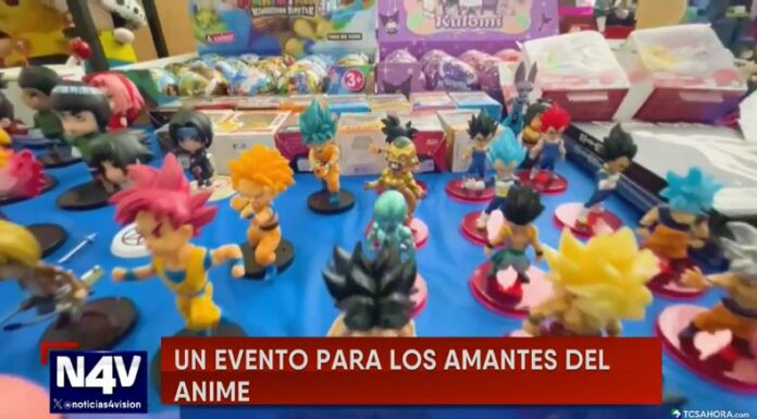 Las convenciones se convierten en el lugar soñado para los fanáticos y coleccionistas de figuras de anime, donde cada rincón guarda emociones.