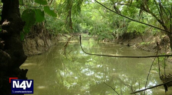 Son pocos los pescadores que se atreven a realizar esta práctica en la laguna El Jocotal ante el temor de ser atacados por un cocodrilo.