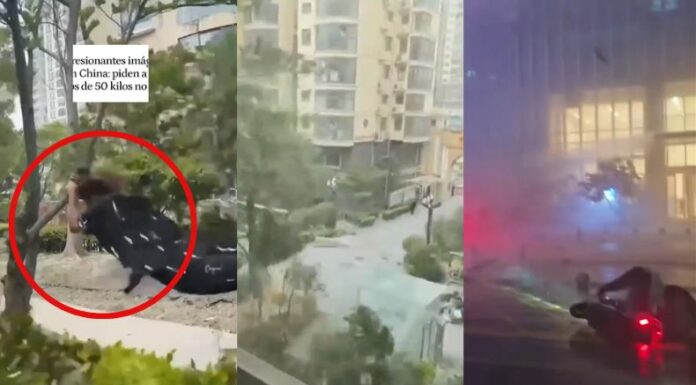 Autoridades meteorológicas de China han emitido una alerta naranja ante la presencia de vientos extremos que azotan varias zonas.