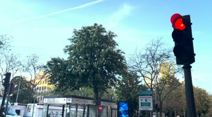 El presidente del Gobierno español, Pedro Sánchez, anunció la creación de una comisión que investigará las circunstancias del masivo apagón ayer lunes.