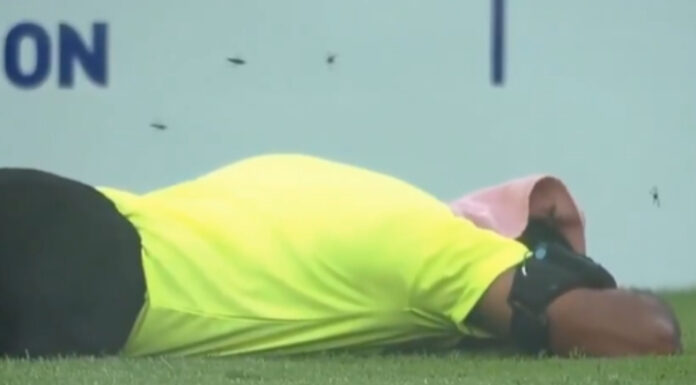 Una de las semifinales de la Supercopa de la India fue suspendido temporalmente por un ataque de abejas a los árbitros y jugadores.