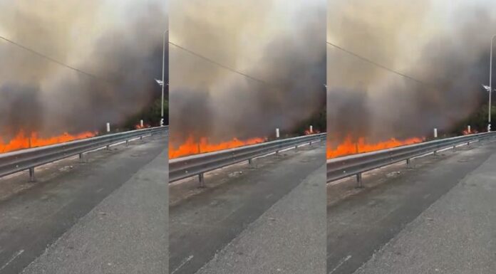 Un incendio forestal de gran magnitud en las colinas cercanas a Jerusalén y Beit Shemesh obligó a evacuar varias comunidades, según informaron las autoridades israelíes.