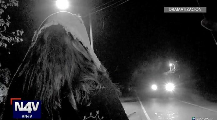 Conductores que transitan por Tepecoyo han experimentado la terrorífica aparición de un extraño pasajero espectral.