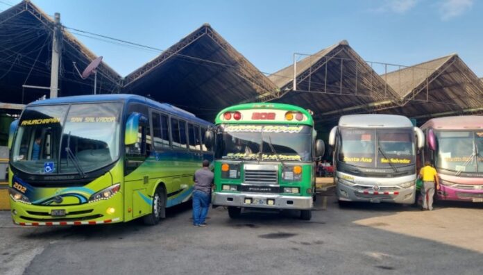 Bukele confirma pago de más de $12 millones a transportistas