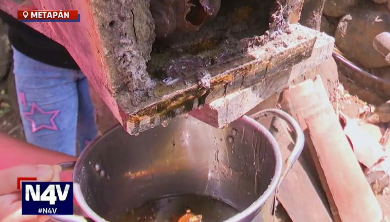 En Metapán, la extracción de miel producida por abejas sin aguijón es muy esperada cada año, su elixir es calificado como curativo y medicinal.