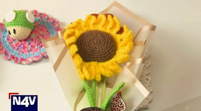 El amigurumi es una técnica japonesa de tejido que ha cobrado fuerza en El Salvador, ganando popularidad entre varias personas.