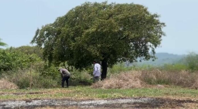 Las organizaciones piden a las autoridades acelerar el apoyo y garantizar la seguridad alimentaria de cientos de productores.