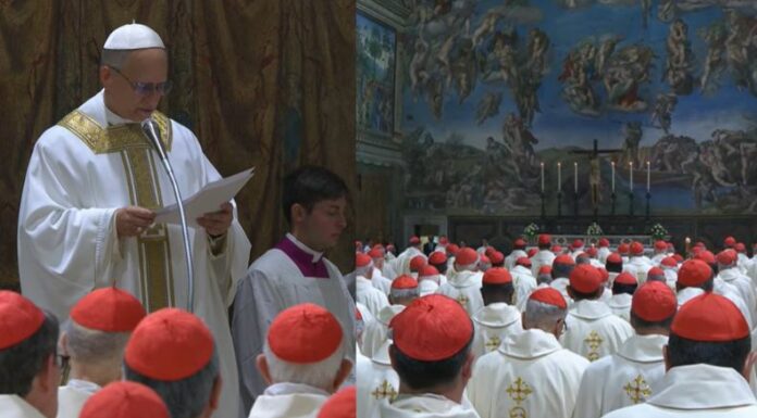 El papa León 14 celebró este viernes la Misa pro Ecclesia en la Capilla Sixtina del Vaticano.
