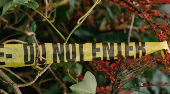 La Policía Nacional Civil (PNC) informó que ya investiga el asesinato ocurrido este viernes en Usulután Oeste.