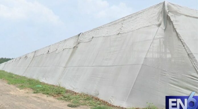 Implementar herramientas de forma adecuada no solo mejora el rendimiento, sino que también promueve una agricultura más sostenible.