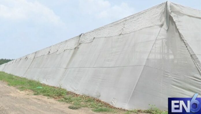 ¿Cómo se implementa la tecnología en la agricultura moderna Implementar herramientas de forma adecuada no solo mejora el rendimiento, sino que también promueve una agricultura más sostenible.