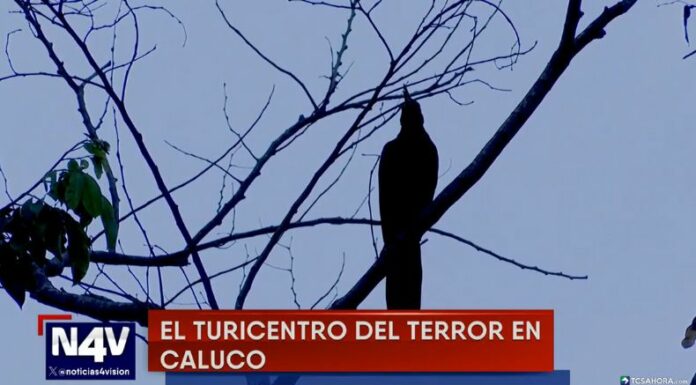 Por la noche, cada rincón del turicentro Shutecath, en Caluco, se llena de misterio y temor, alimentado por historias de sucesos sobrenaturales.