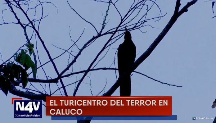 Shutecath el turicentro del terror en Caluco, Sonsonate Por la noche, cada rincón del turicentro Shutecath, en Caluco, se llena de misterio y temor, alimentado por historias de sucesos sobrenaturales.