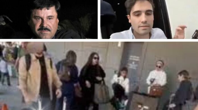 17 familiares de “El Chapo” Guzmán se entregaron a Estados Unidos