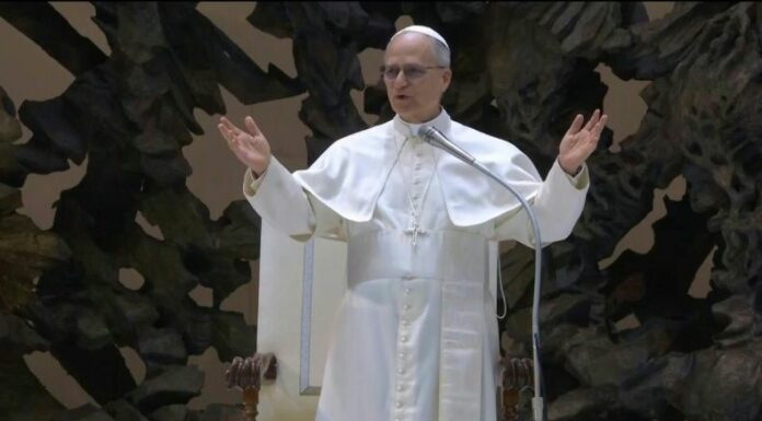 El papa León 14 ofreció su mediación entre los dirigentes de países en conflicto y afirmó que hará todo el esfuerzo para que prevalezca la paz.