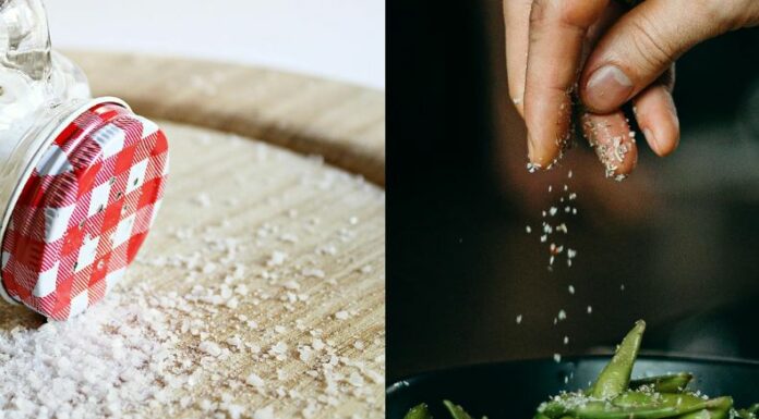 La sal se usa en la preparación de alimentos porque realza el sabor, conserva los alimentos y mejora la textura en ciertas preparaciones. También ayuda en procesos como la fermentación y la cocción.