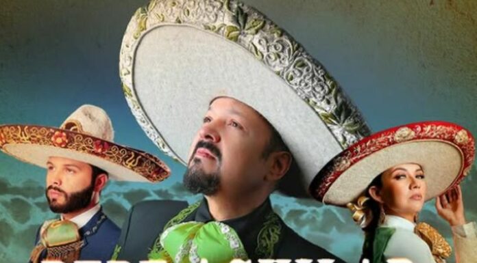 El anuncio no fue bien recibido por los seguidores de Lupita Infante, quienes le han pedido alejarse de la familia por las recientes polémicas que la rodean.