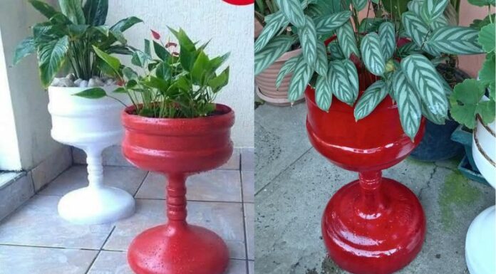 A sus 70 años, don Beto vio en los garrafones dañados el material ideal para crear macetas ecológicas y originales.