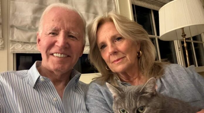Joe Biden, de 82 años, dijo que él y su familia se encuentran estudiando las opciones de tratamiento con sus médicos.