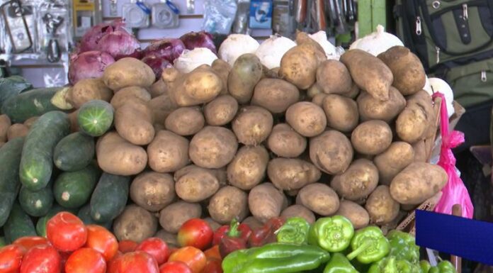 El Banco Mundial estima que el precio de los alimentos podría disminuir a nivel global, según su informe 