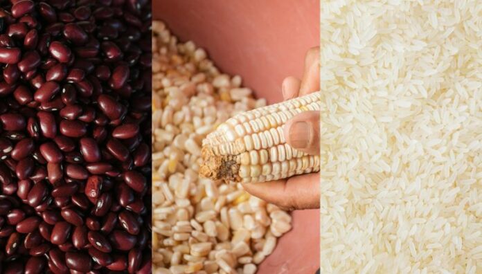 Déficit proyectado de granos alcanzará los 5.8 millones de quintales en 2026 CAMPO advirtió que para el período 2025-2026 se proyecta un déficit de 5.8 millones de quintales de granos básicos.