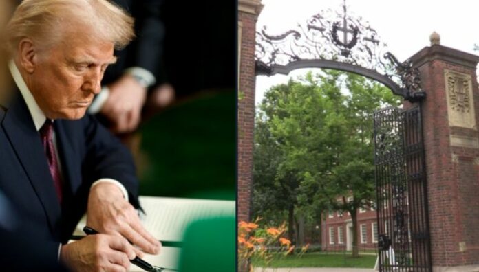 Trump ordena embajadas suspender entrevistas visas estudiantiles Donald Trump ordenó suspender las entrevistas para nuevas visas estudiantiles en embajadas y consulados de Estados Unidos.