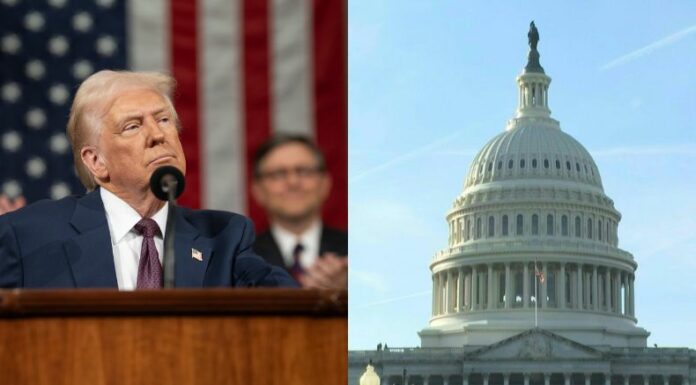 Desde el pasado 2 de abril, el presidente de Estados Unidos, Donald Trump anunció aranceles recíprocos a todos los países del mundo.