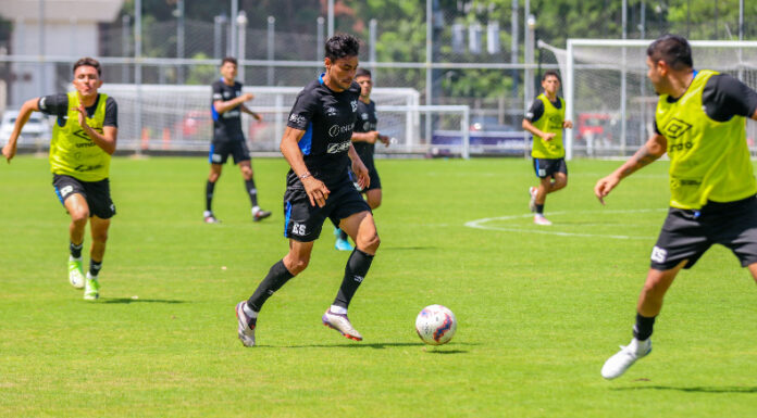 La Selecta enfrenta a Guatemala en un amistoso internacional a realizarse en Tennessee, Estados Unidos este sábado.