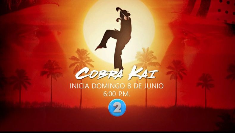 La exitosa serie “Cobra Kai” llega a la televisión salvadoreña a través de Canal 2. La cita es este 8 de junio a las 6:00 p.m., para disfrutar del inicio de una historia cargada de nostalgia, acción y nuevas rivalidades.