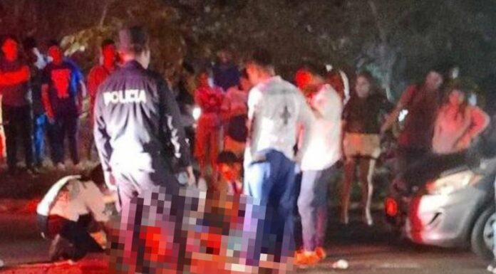 Datos del Observatorio Nacional de Seguridad Vial (ONASEVI) revelan que entre el 1 de enero y el 4 de junio de 2025 se ha reportado la muerte de 207 peatones en siniestros viales.