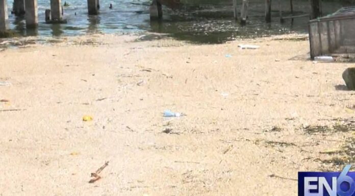 Aunque no se ha emitido una alerta sanitaria, los investigadores llaman a no bajar la guardia y a proteger el lago de Ilopango.