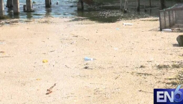 Detectan cianobacterias tóxicas en el lago de Ilopango Aunque no se ha emitido una alerta sanitaria, los investigadores llaman a no bajar la guardia y a proteger el lago de Ilopango.