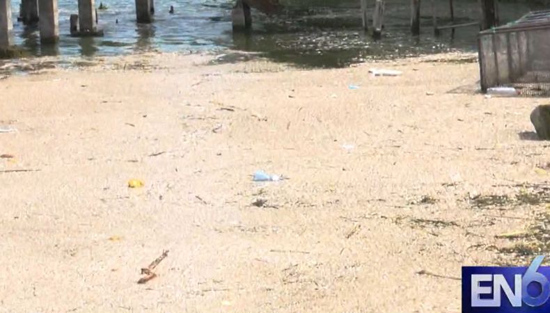 Aunque no se ha emitido una alerta sanitaria, los investigadores llaman a no bajar la guardia y a proteger el lago de Ilopango.