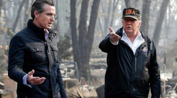 Trump acusó a los manifestantes en Los Ángeles de insurrección. Dijo que 