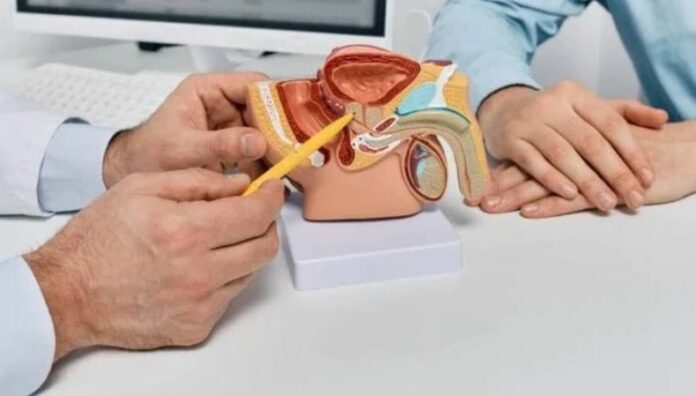 Día Mundial del Cáncer de Próstata consejos para detectarlo a tiempo Según la Organización Mundial de la Salud (OMS), 1 de cada 6 hombres recibirá un diagnóstico de cáncer de próstata en algún momento de su vida.